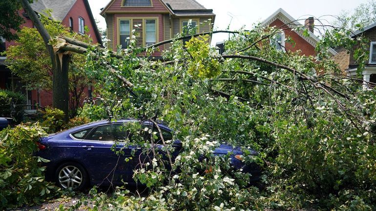 The aftermath of a sudden storm on Prospect Avenue in...