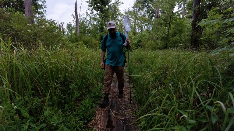 Sergio Henriques, Invertebrates Conservation Coordinator at the Global Center for...