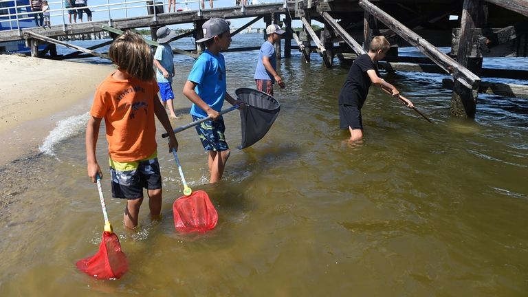 On the hunt at Captree State Park's Snapper and Crab Derby.