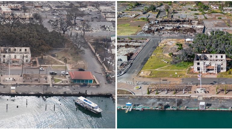 This combination of photos shows the historic Lahaina banyan tree...