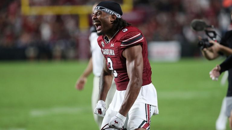 South Carolina wide receiver Antwane Wells Jr. (3) celebrates a...