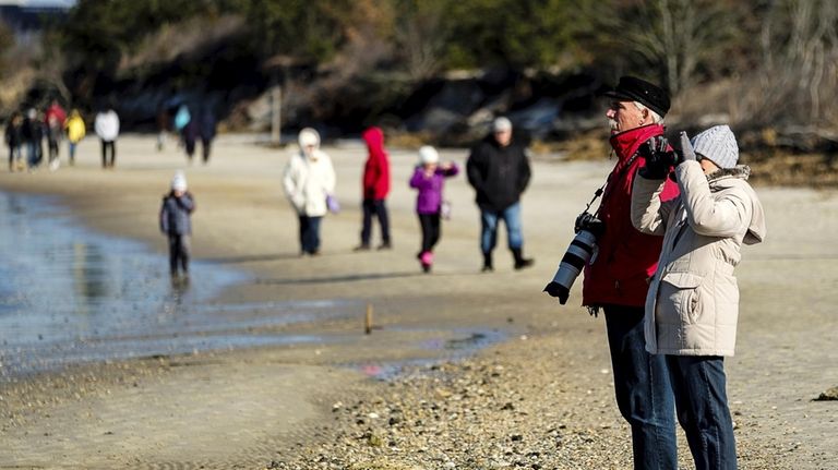 Nature lovers on a Seal Walk look for seals in...