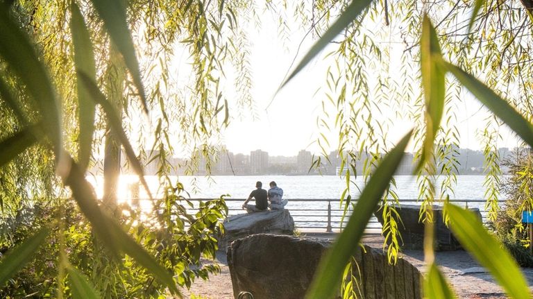 Explore the gardens at Pier 46.