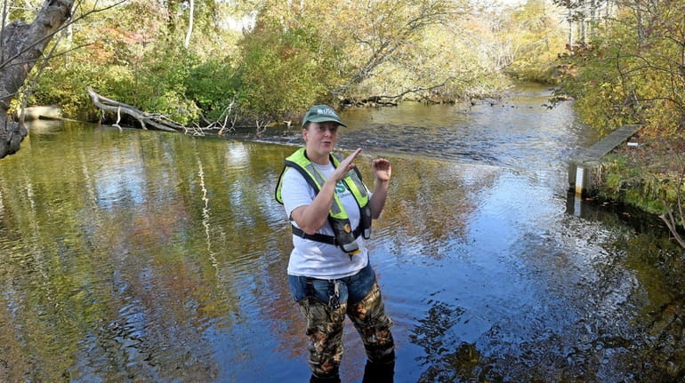 Amy Simonson, a U.S. Geological Survey hydrologist, checked Peconic River...