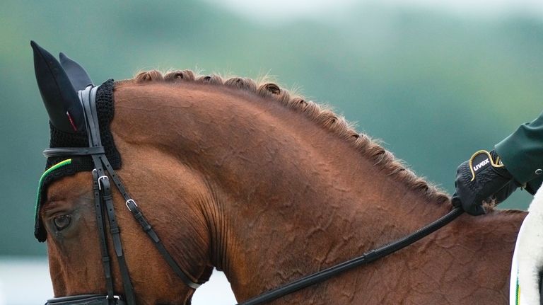 Brazil's Carlos Parros and his horse Safira during the Equestrian...