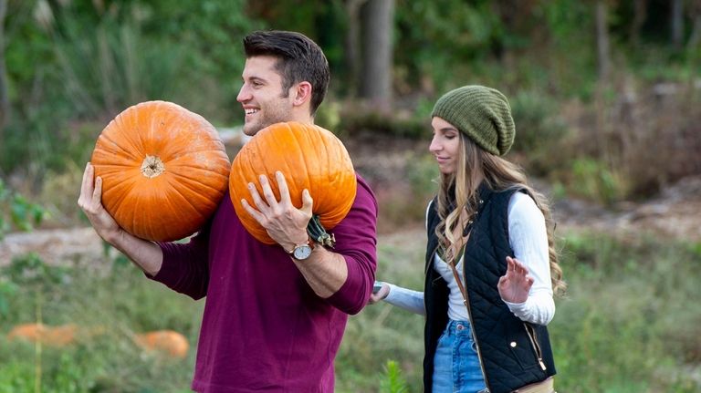 Scenes around the Elwood Pumpkin Farm on Saturday afternoon. Hunting...