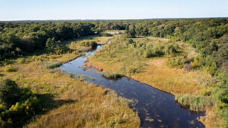 When an approximately 140-year-old dam failed in 2019, a body...