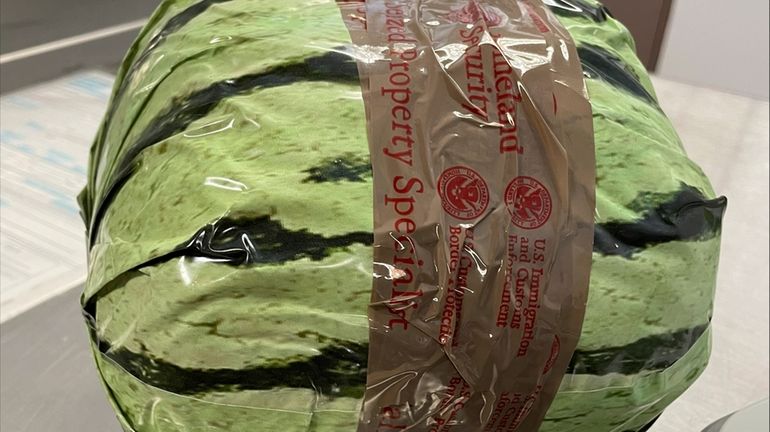 A fake watermelon, used to disguised a shipment of methamphetamines,...