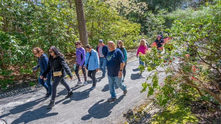 The Long Island's East End Hiking Group meets daily for a...