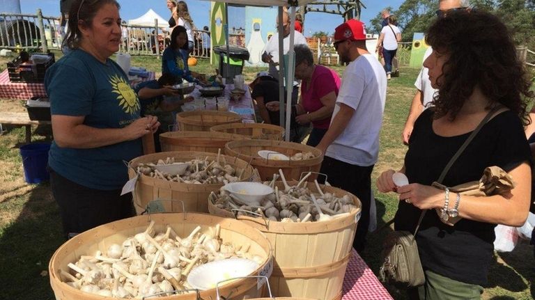 The Long Island Garlic Festival includes more than 40 vendors.