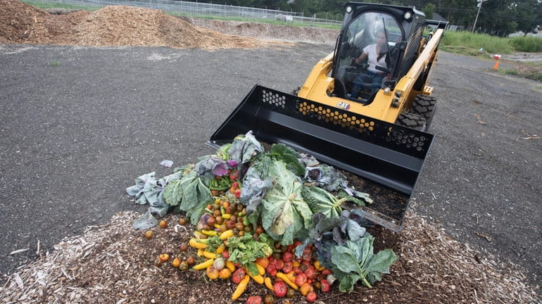 Discarded vegetables from a farm are moved into a compost pile...