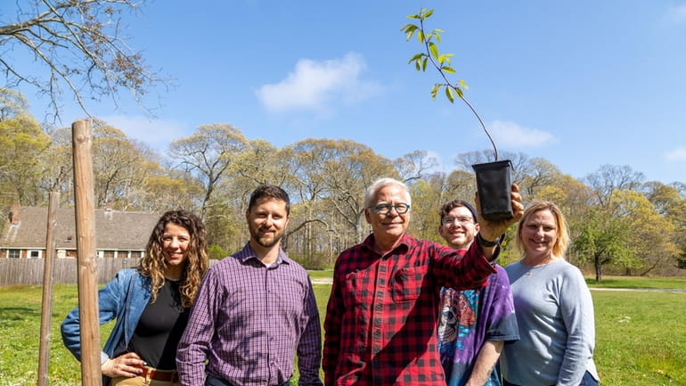 Conservationists pose with an American chestnut sapling at the Meadowcroft Estate...