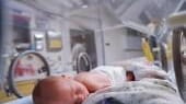 Better prenatal care still needed to lower number of stillbirths,...