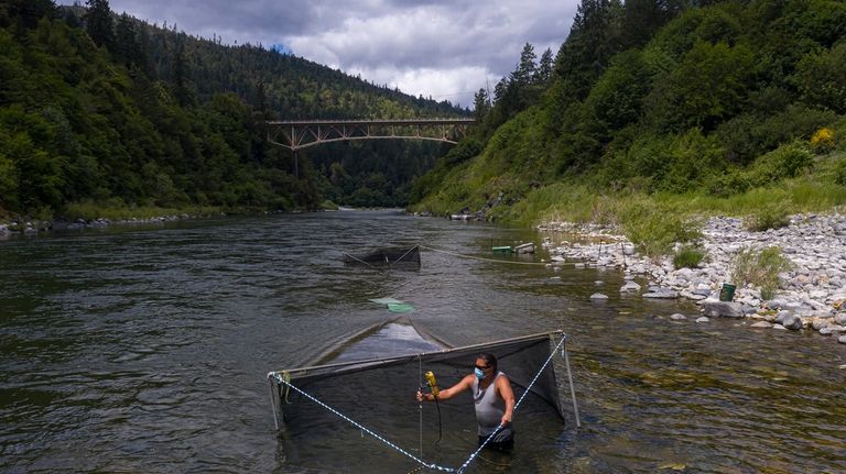 Gilbert Myers takes a water temperature reading at a chinook...