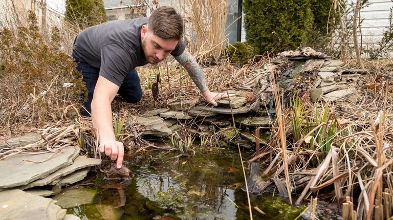 Marinello's garden, which features native plants, carries certifications including: Certified...