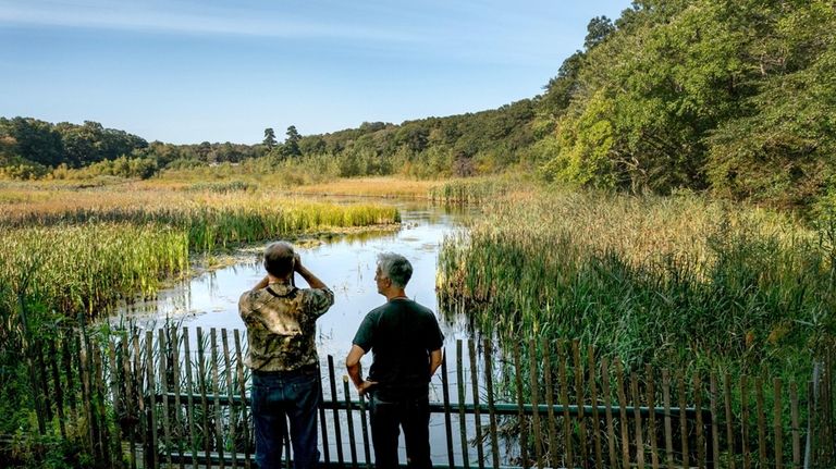 Conservationists, John Turner, left and Enrico Nardone, both with the...