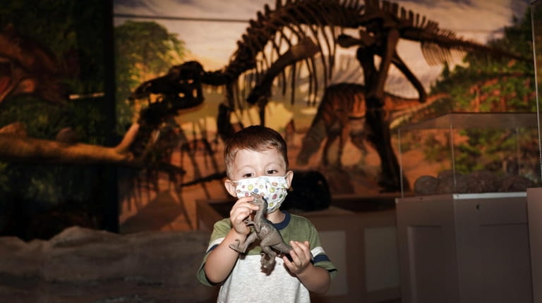 Natthan Mendoza, 3, of Copiague, explores the indoor "Dinosaurs!" exhibit...