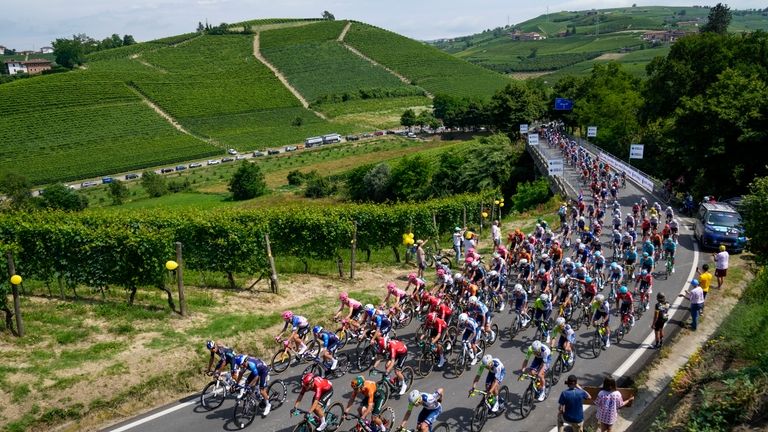 The pack climbs the hills and vineyards around Cuneo during...