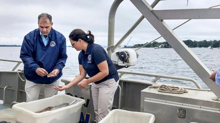 Oyster Bay Supervisor Joseph Saladino, left, and Councilwoman Michele Johnson helped seed...