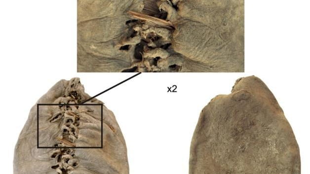 This well-preserved shoe — about 5,500 years old — was...