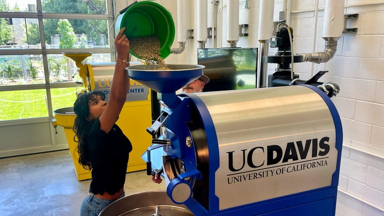 UC Davis Senior, Shrishti Chezhian, loads an industrial coffee bean...