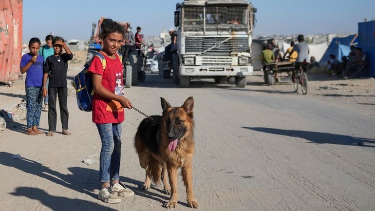 A Palestinian girl and her dog flee the Khan Younis...