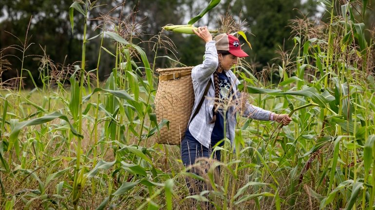 Lea Zeise, one of Ohe·laku's co-coordinators of the non-profit that...