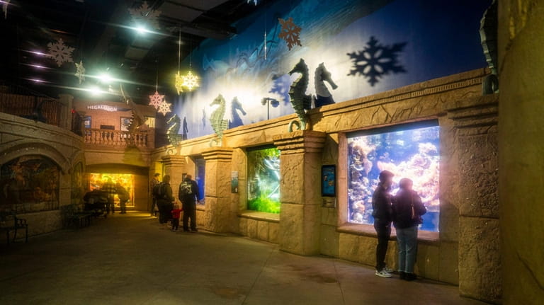 Visitors at the Long Island Aquarium in Riverhead.