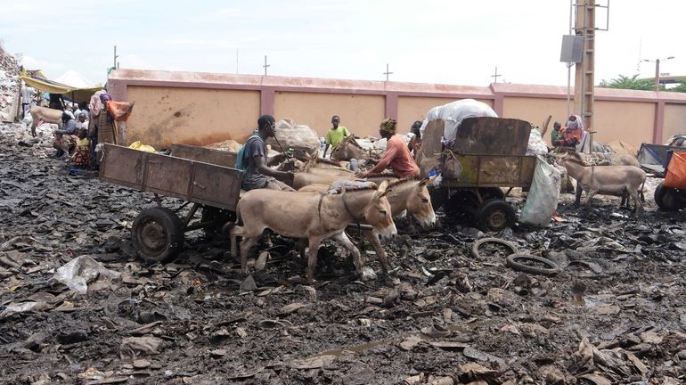 Donkeys pull a cart to collect household waste at the...