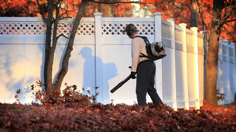 Some Greenport residents are seeking a ban on leaf blowers.