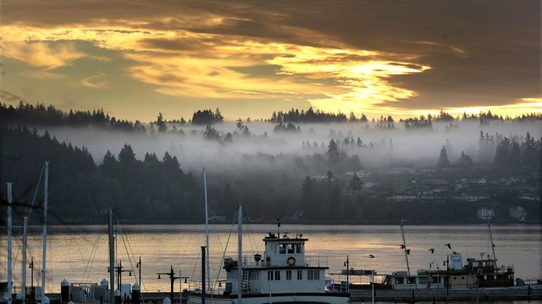 Low clouds hover in the trees in Port Orchard seen...