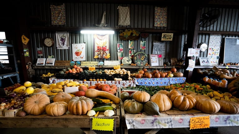 Produce at the Rottkamp Bros. Farm in Old Brookville.