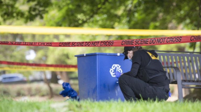 Police investigate the scene where dog walker Ruth Dalton, 80,...