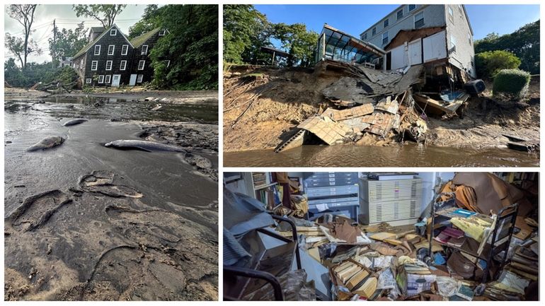 Clockwise from left, dead fish in the mud on Aug....