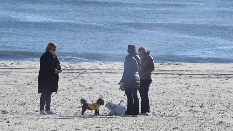 A beautiful dog day afternoon on Coopers Beach in Southampton...