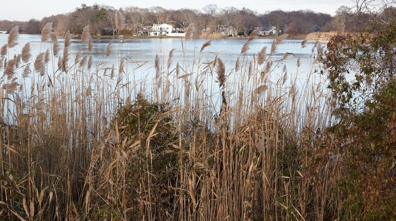 Patchogue Lake seen near Holbrook Road, a street that connects...