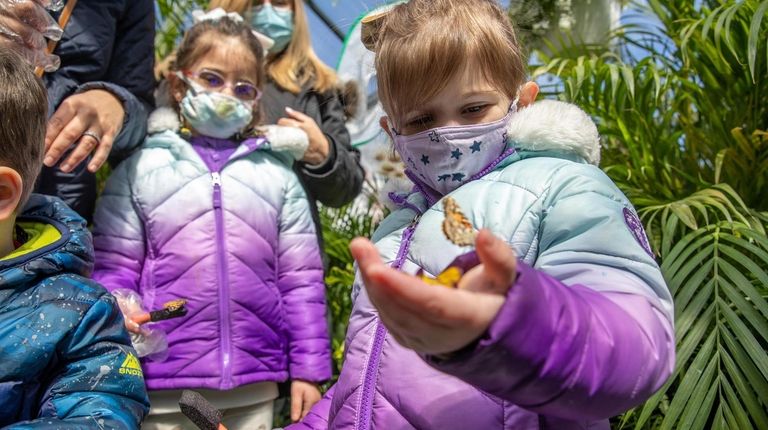 Alessandra LaNovara, 4, from Wantaugh holds a butterfly on April...