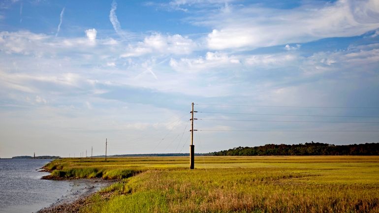 A utility pole stands in the middle of a marsh...