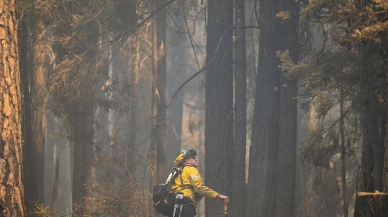 A firefighter monitors trees burned in the Park Fire along...