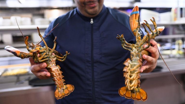 Whole lobsters aren't as popular as they used to be...