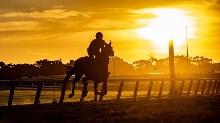 An early morning workout at Belmont Park in Elmont June 7,...