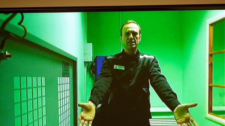 Russian opposition leader Alexei Navalny is seen on a TV...