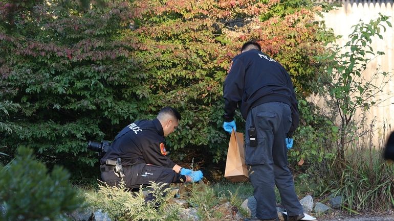 Suffolk County police collect evidence at the scene of the...