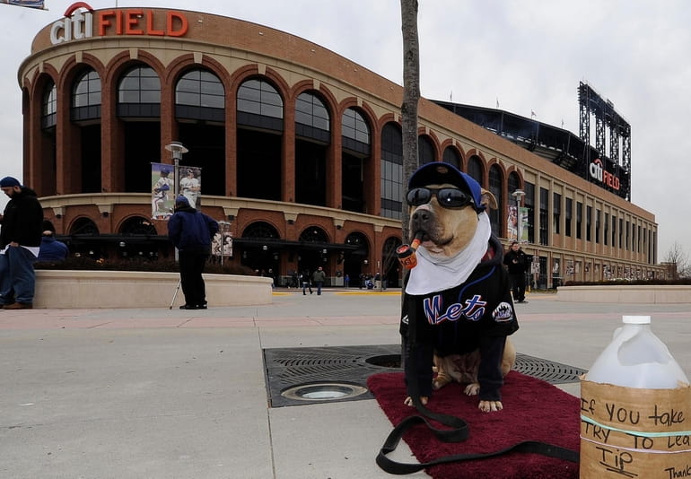 Mets Canine Mascot, 2015 New York Mets Opening Day, Citi F…