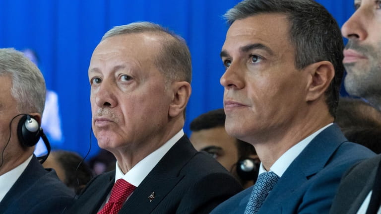 Spanish Prime Minister Pedro Sanchez sits next to Turkish President...
