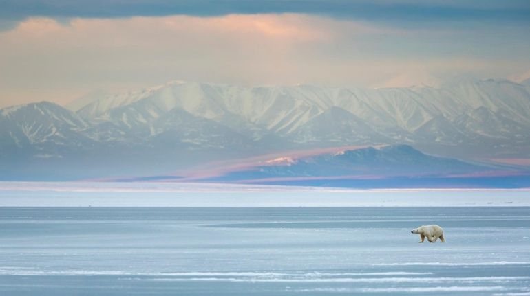 Arctic National Wildlife Refuge, Alaska.