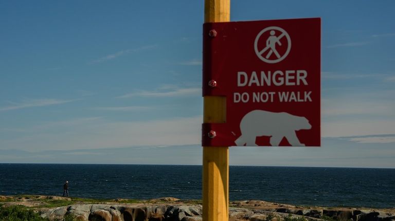 A young man watches for potential polar bears while walking...