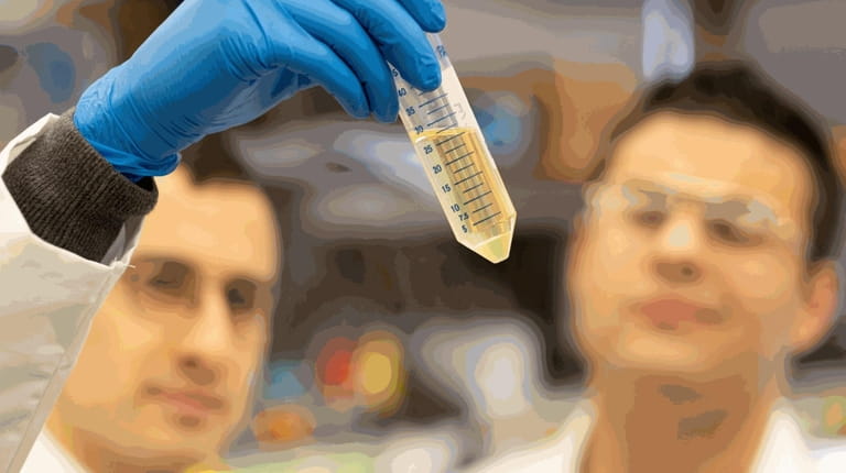 Scientists look at a test tube in a Northwell Health...