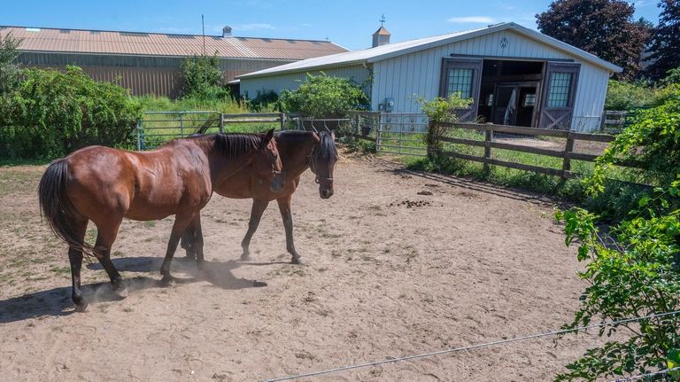 The northern area of Riverhead is home to farms, like...