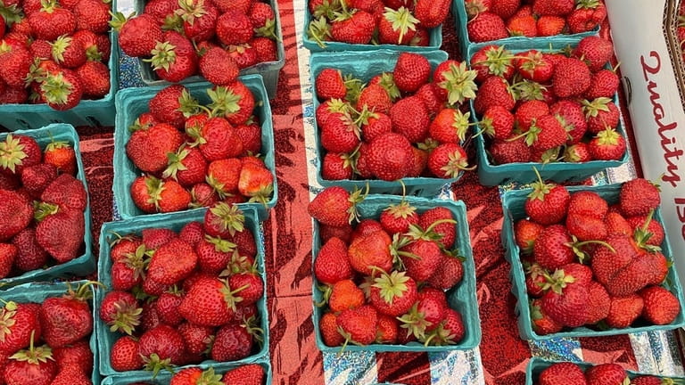 Enjoy local strawberries and live entertainment at the Massapequa Strawberry...